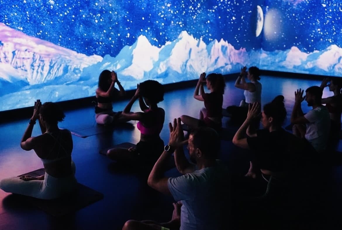 Exclusive Hire, Studio Society photo #2