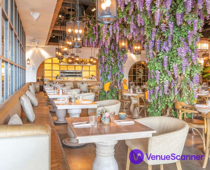 Victor's Oxford, Semi Exclusive photo #3