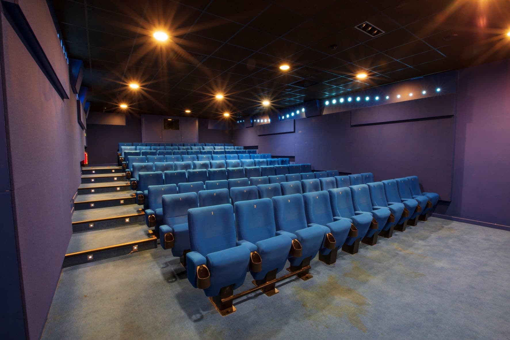 Blue Screen 2, Curzon Wimbledon photo #2