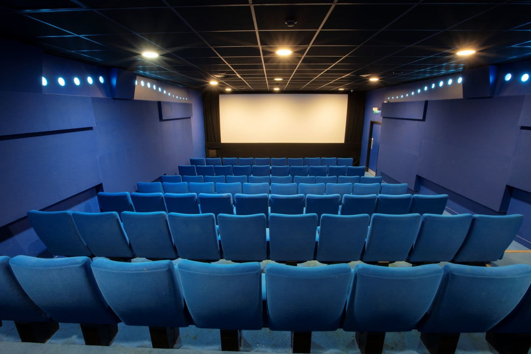 Blue Screen 2, Curzon Wimbledon photo #1