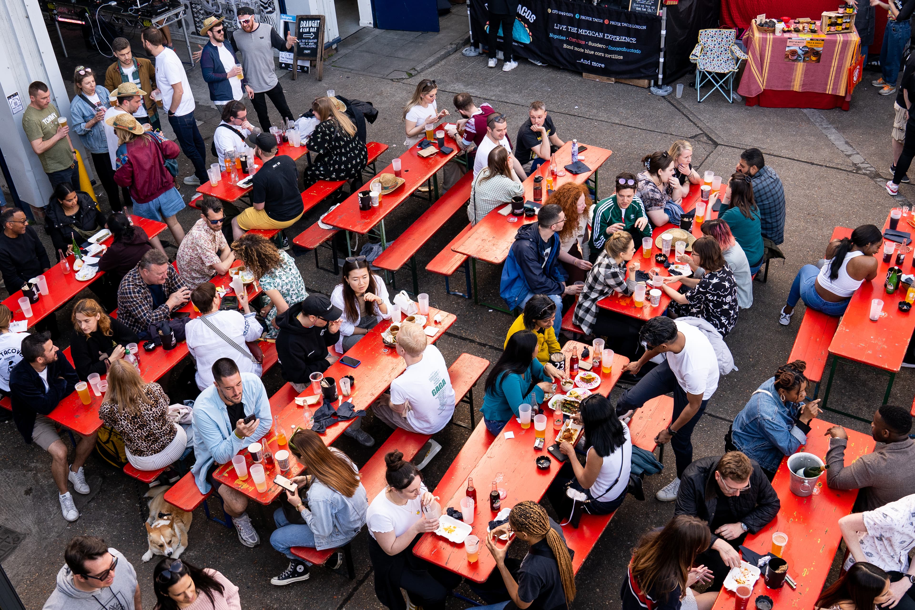 Entire Brewery - Brewhall + Yard Pub + Outdoor Yard, Signature Brew Blackhorse Road photo #17