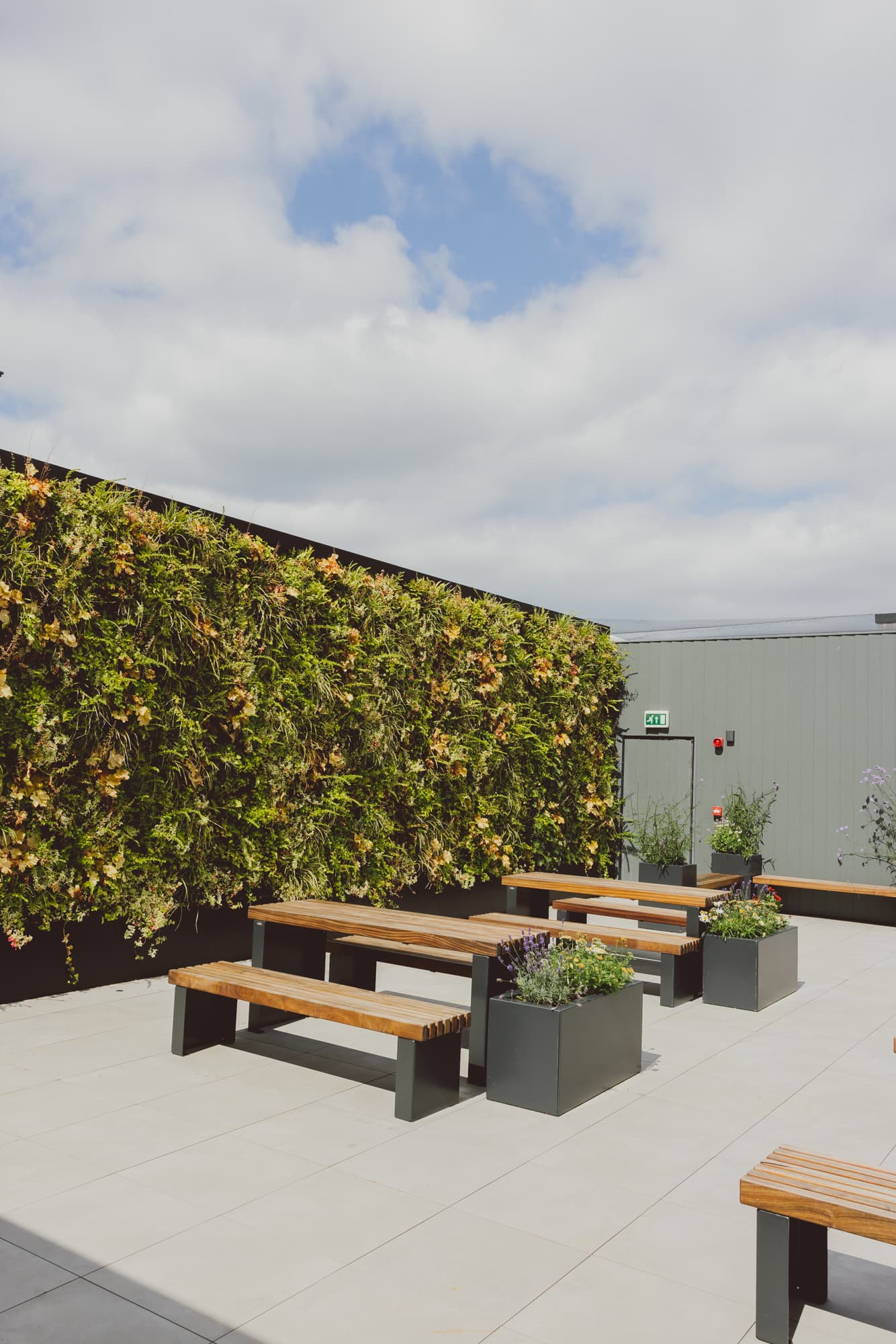 The Rooftop, 10x photo #4