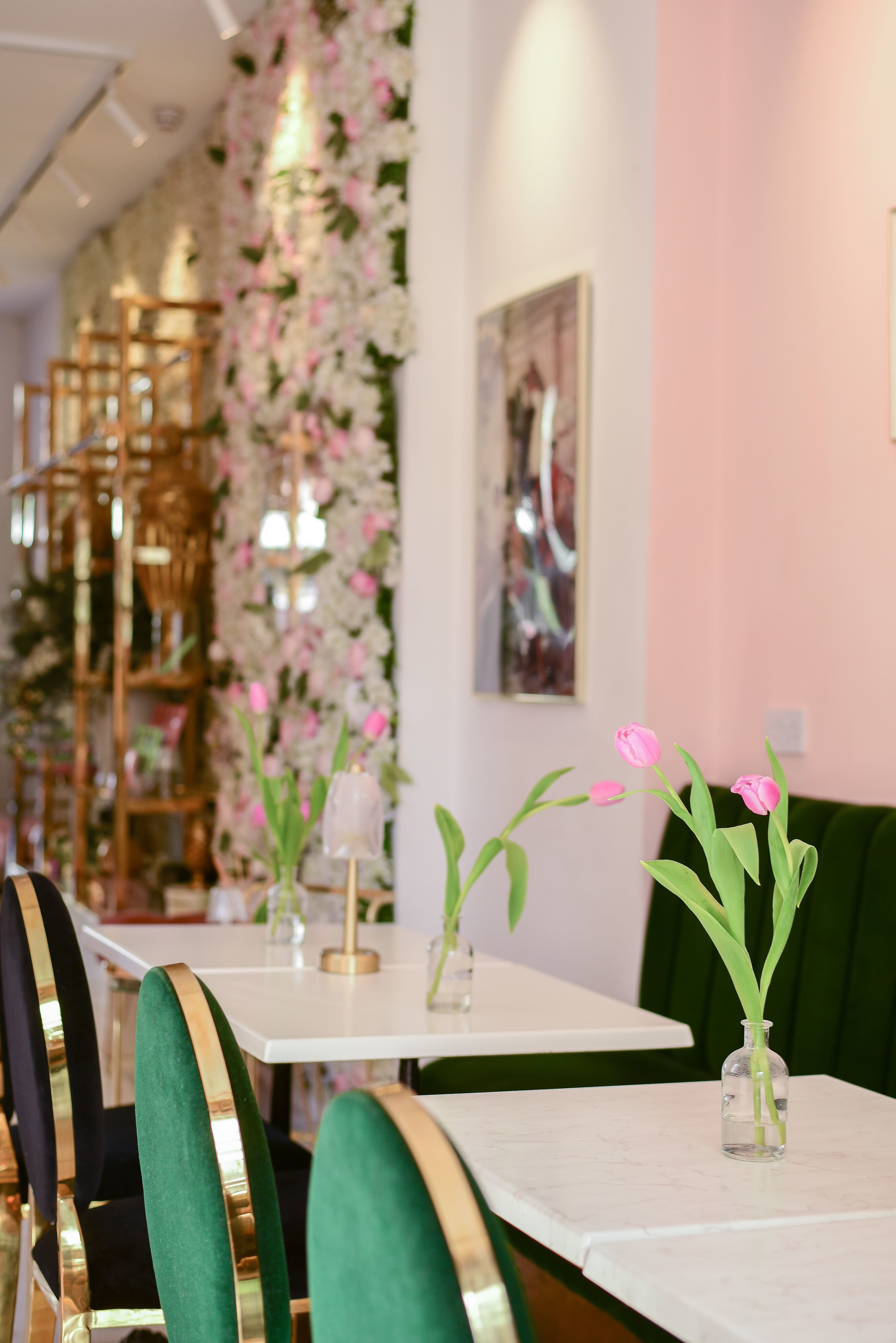 Ground Floor, Saint Aymes photo #2