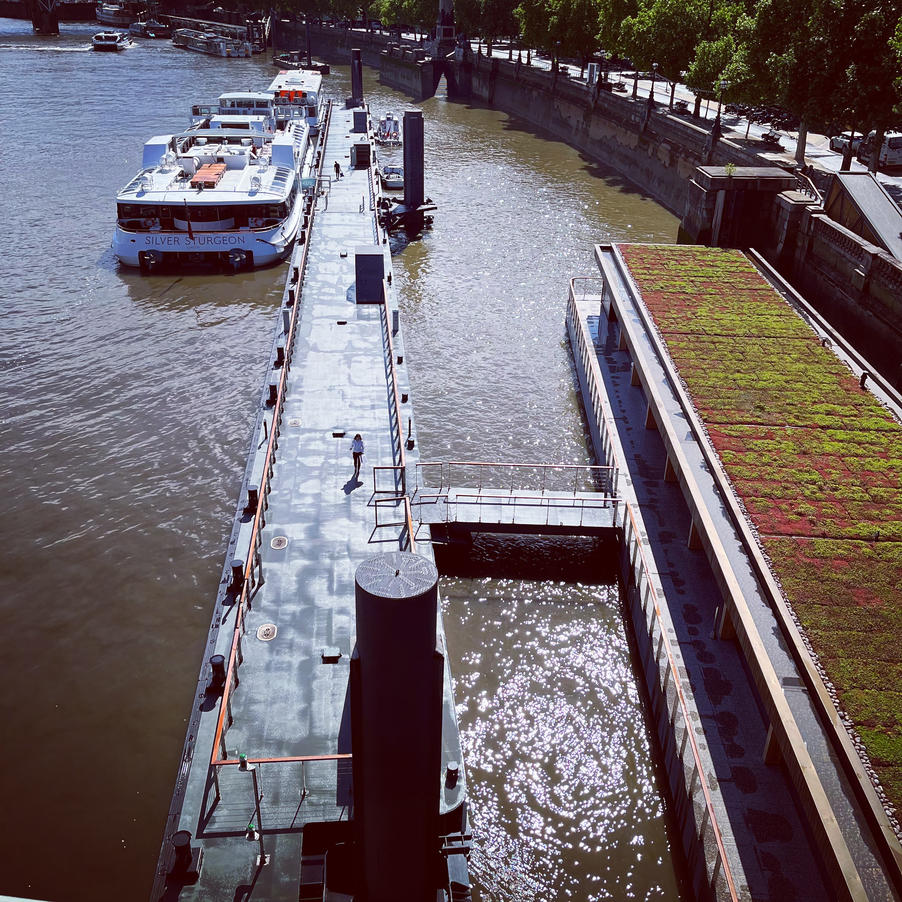 Silver Barracuda, Woods' Silver Fleet photo #43