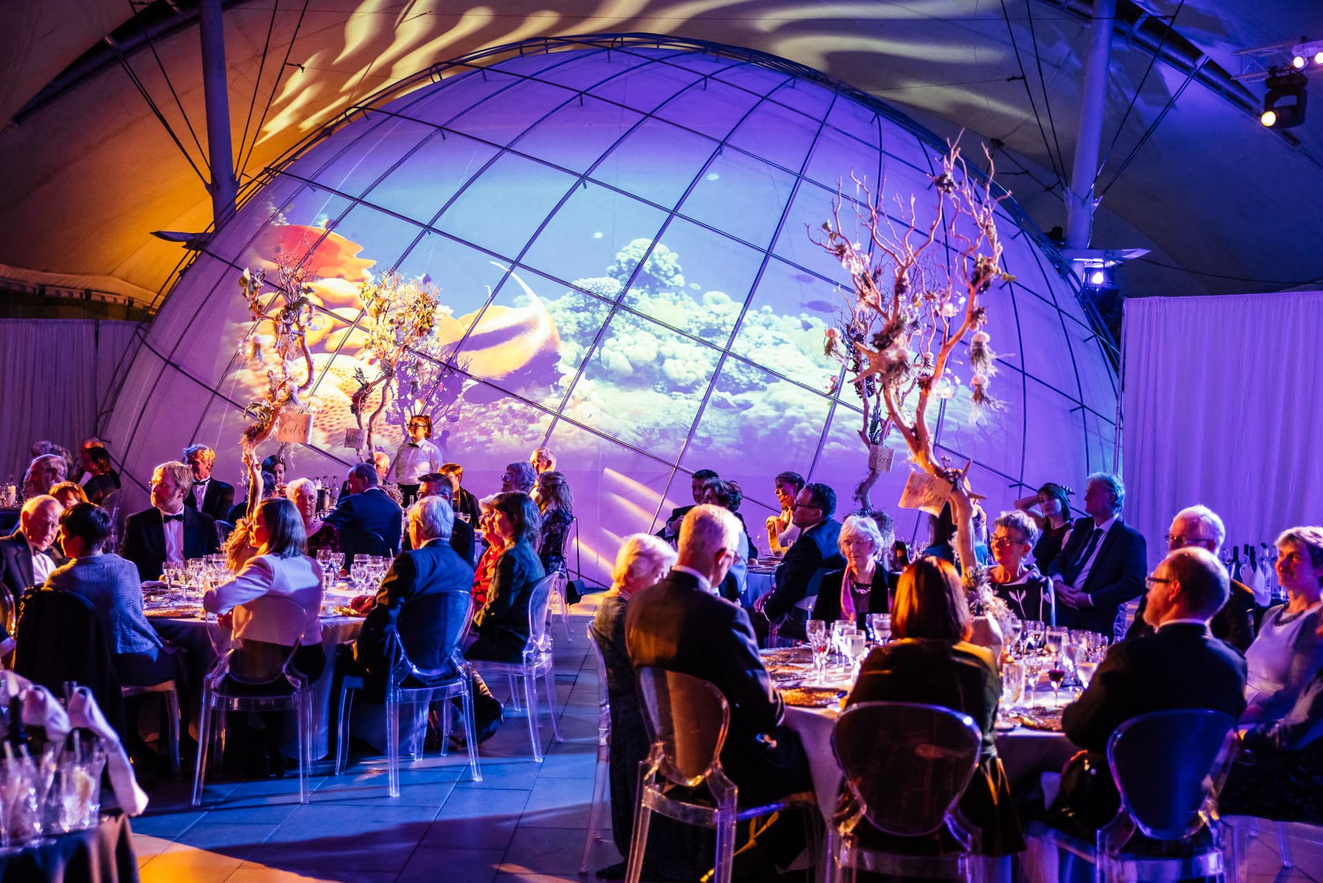 Stratosphere, Dynamic Earth photo #4