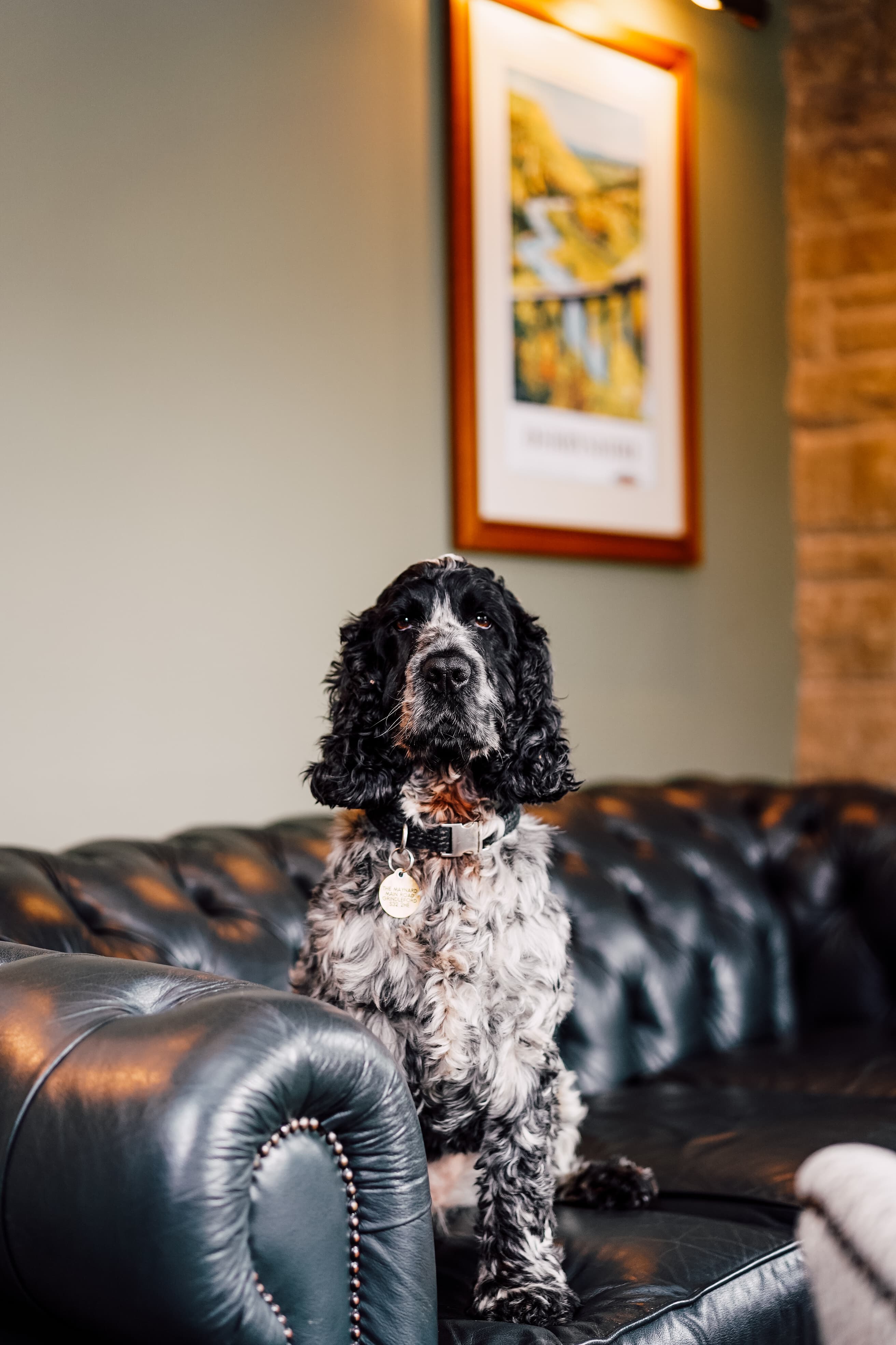 The Chatsworth Suite, The Maynard photo #67