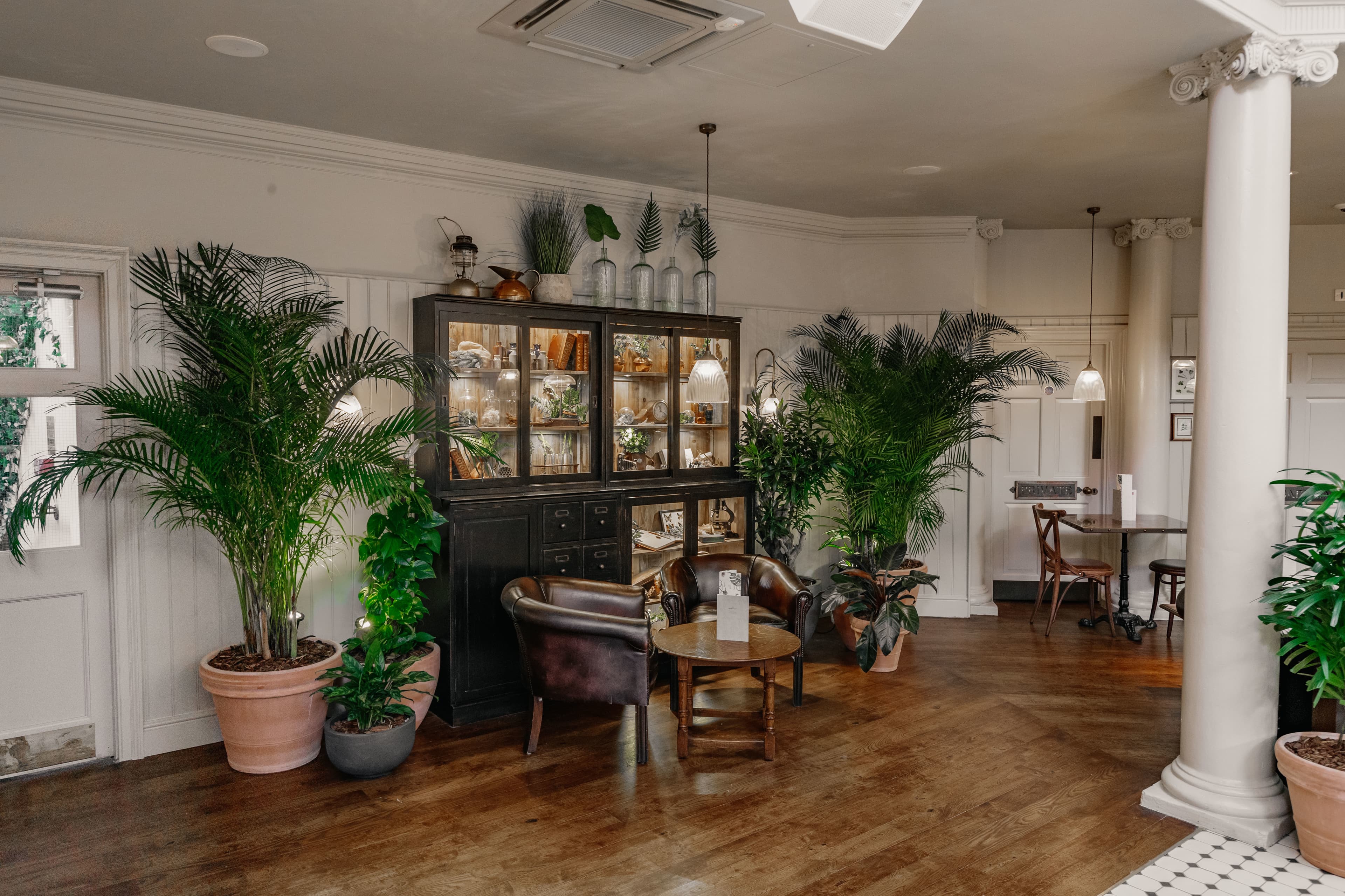 Whole Venue, The Botanist Bath photo #3