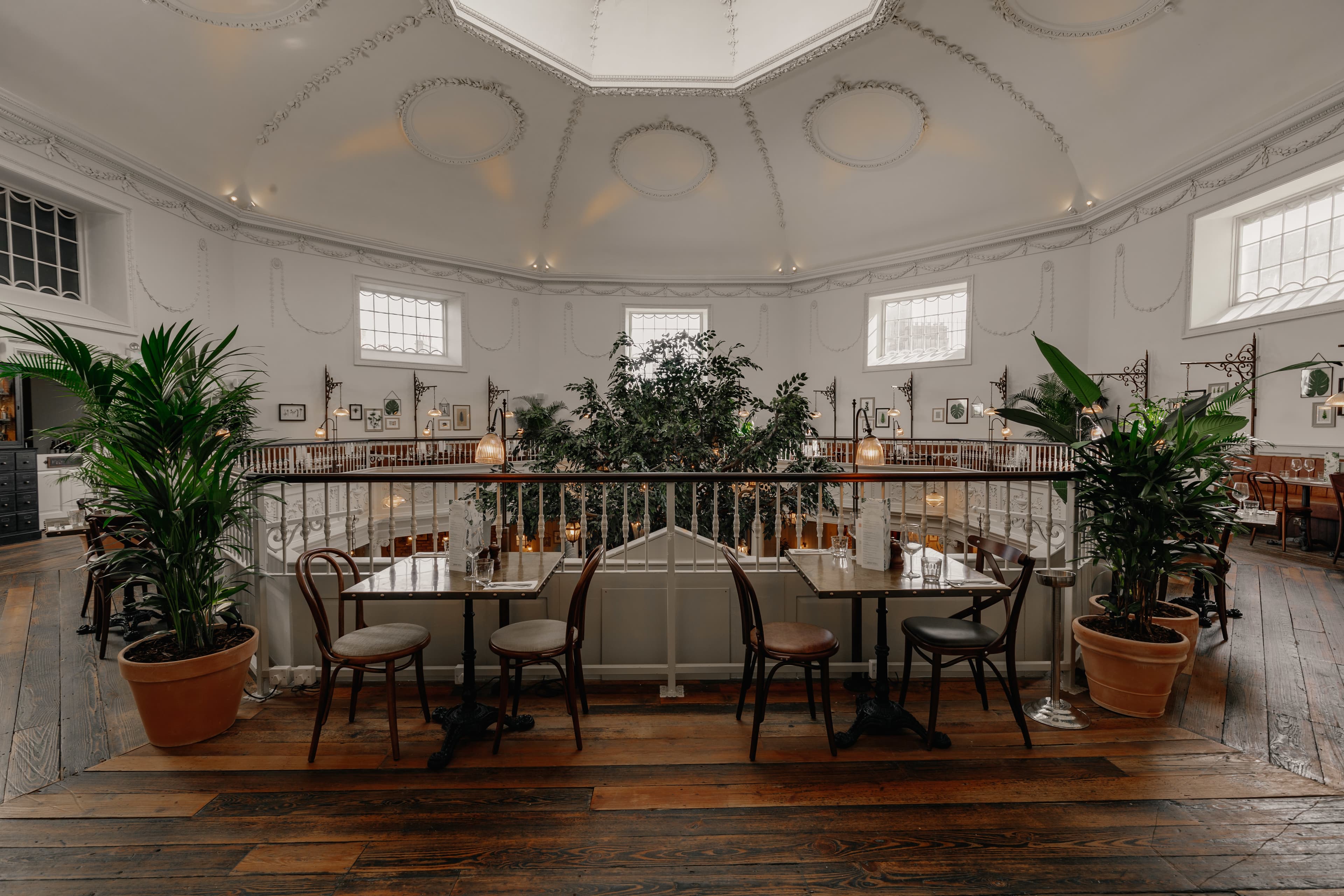 Whole Venue, The Botanist Bath photo #13