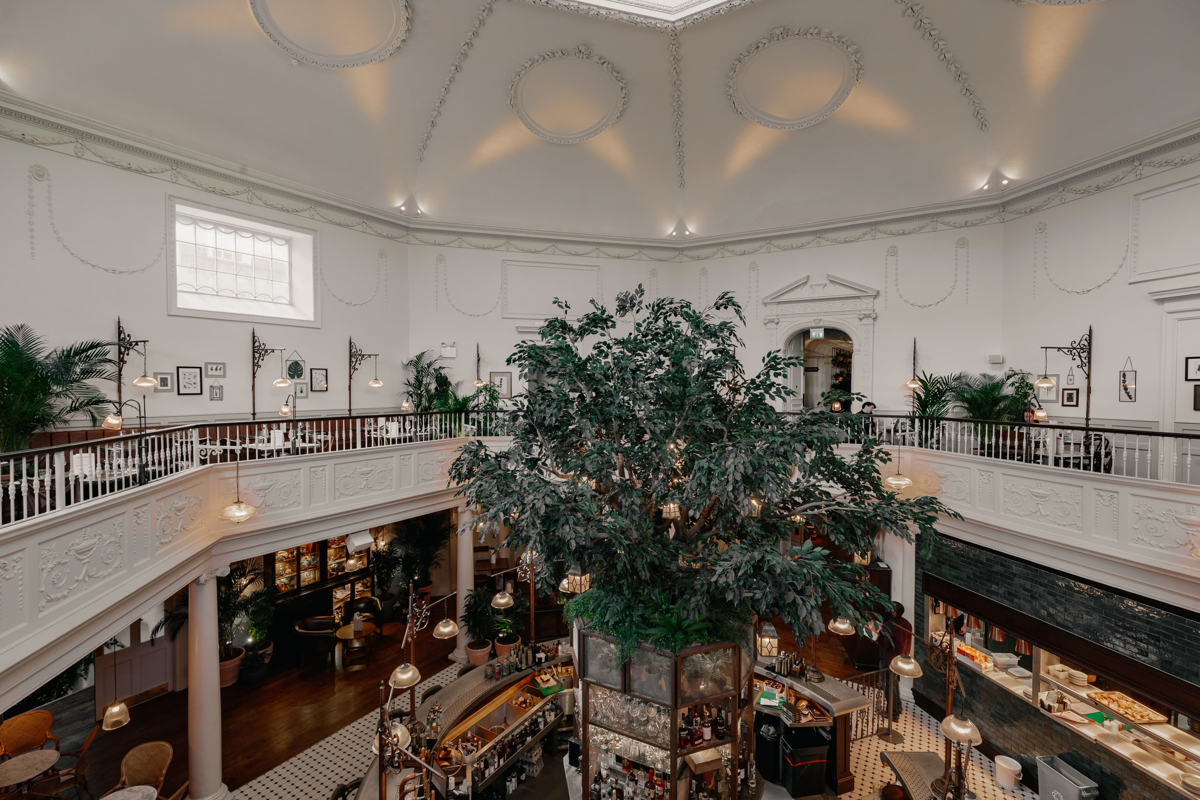 Whole Venue, The Botanist Bath photo #8