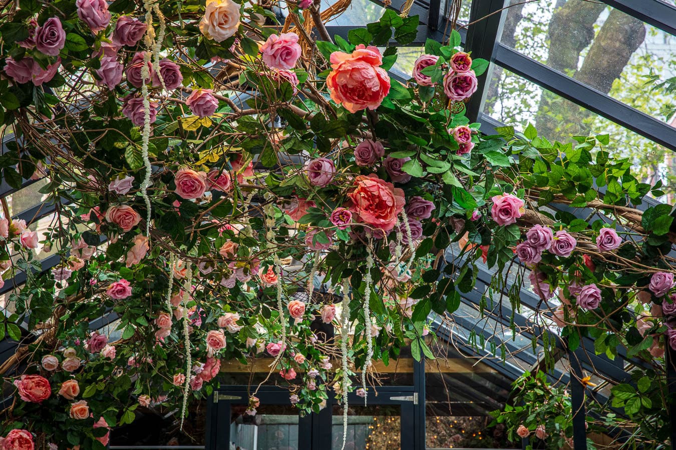 The Portland Greenhouse, The Greenhouses photo #4