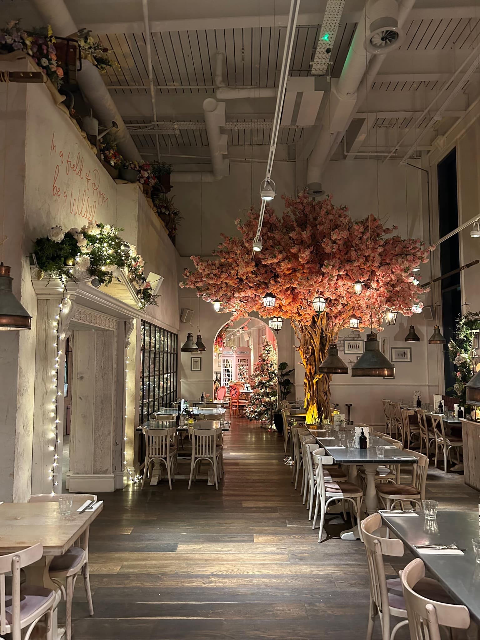 Area And Whole Venue Hire, The Florist Watford photo #5