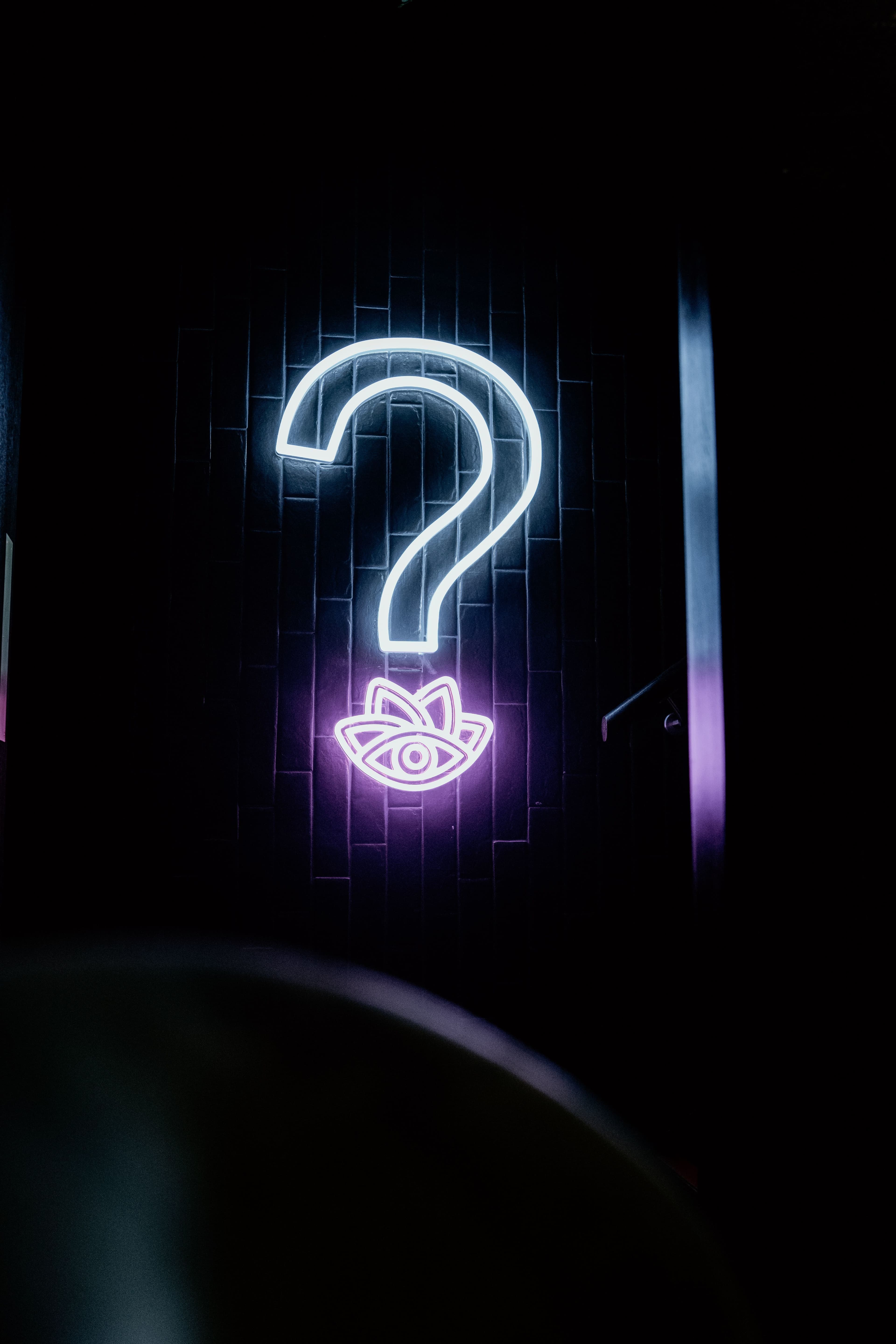 Whole Venue Hire, Lulu Wild Birmingham photo #3