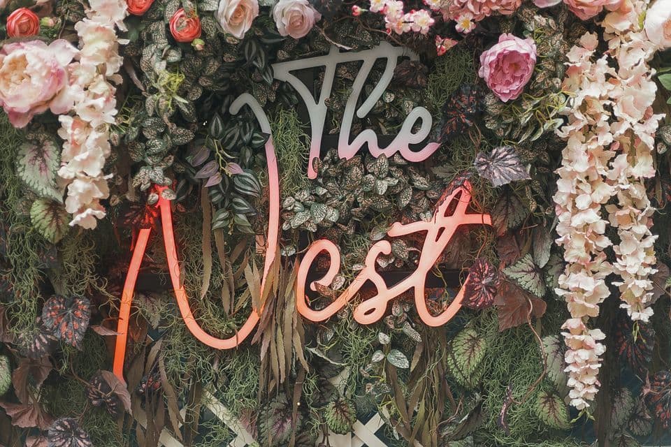 The Nest, Outside Space, Lulu Wild Birmingham photo #6