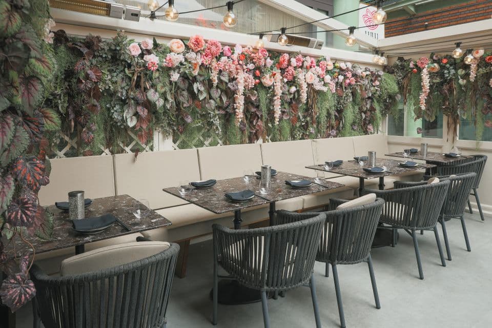 The Nest, Outside Space, Lulu Wild Birmingham photo #5