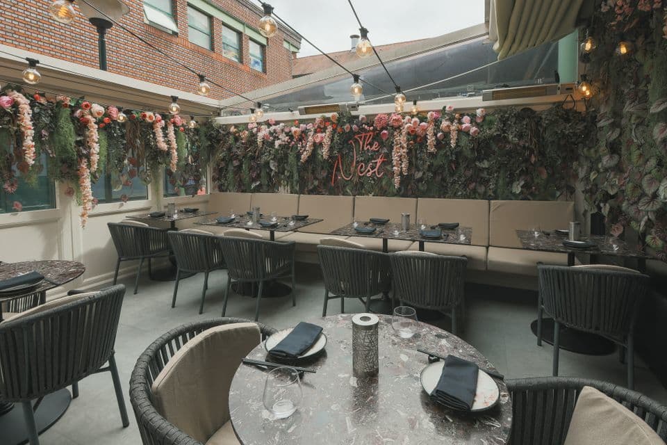 The Nest, Outside Space, Lulu Wild Birmingham photo #3