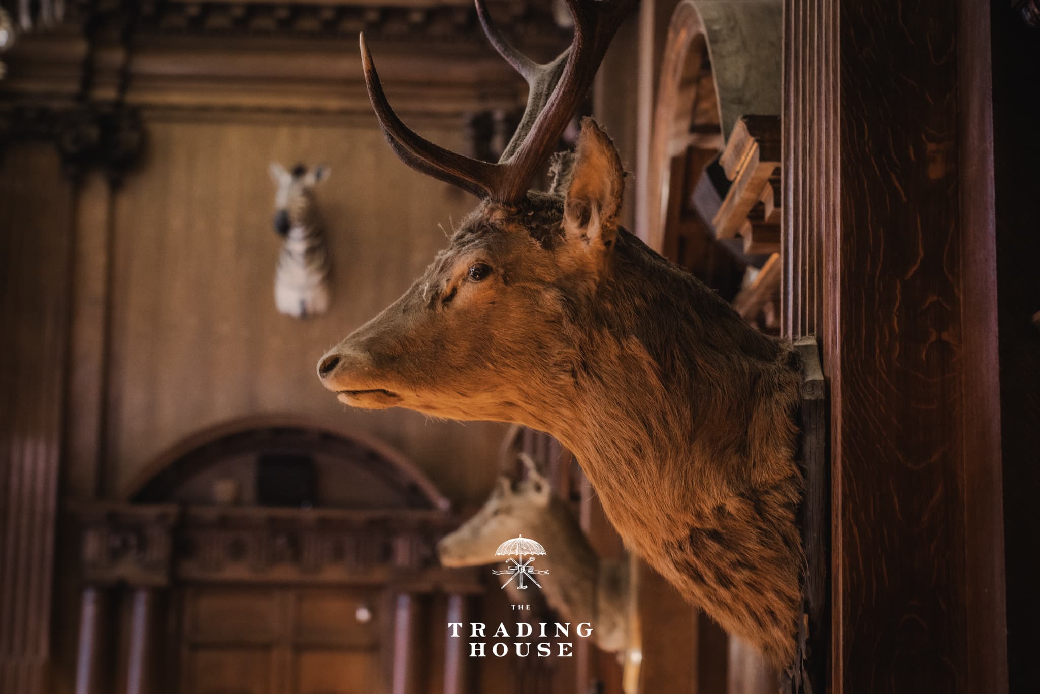 The Mezzanine, The Trading House photo #15