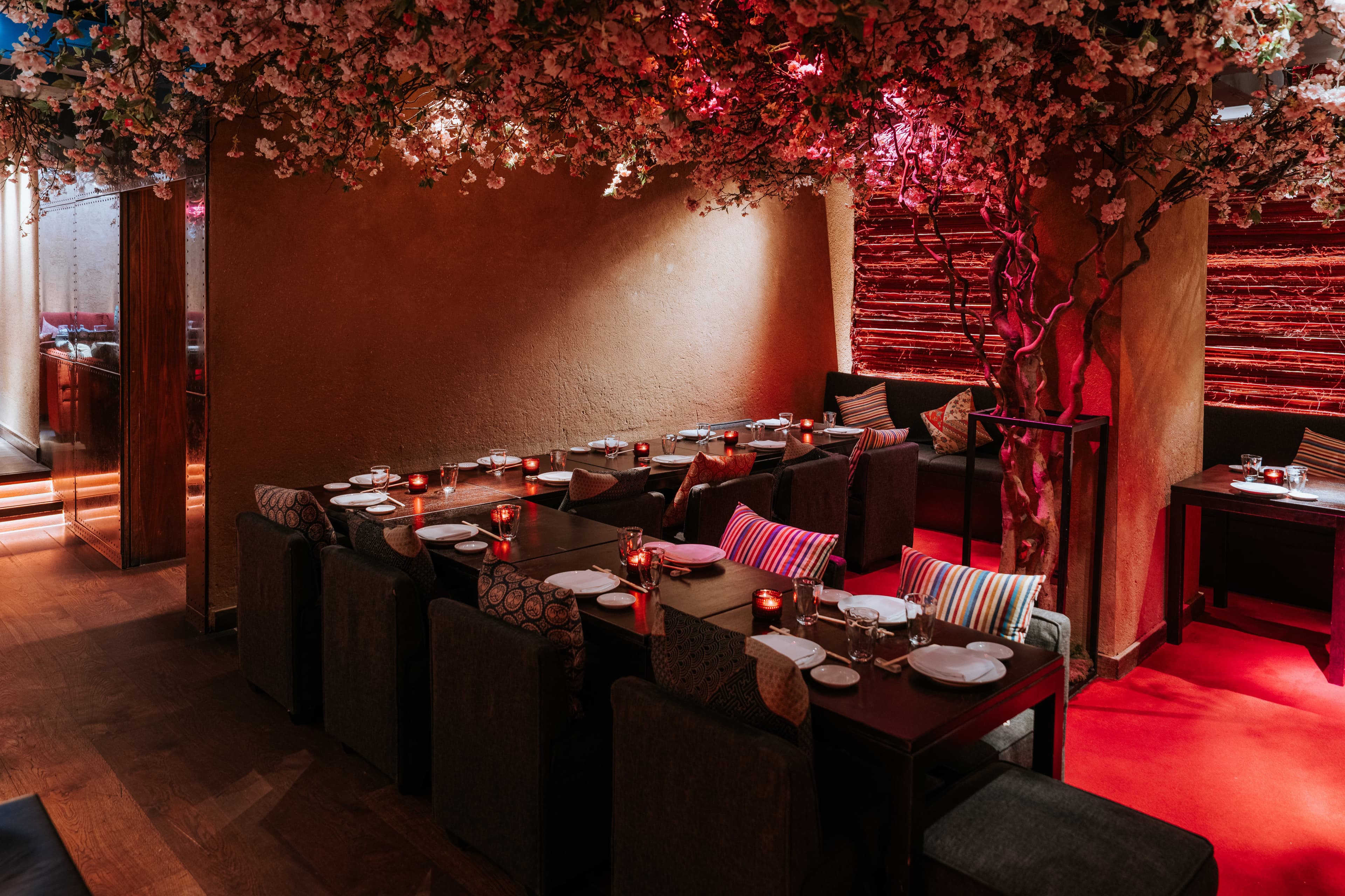 Shochu Lounge, Roka Charlotte Street photo #3