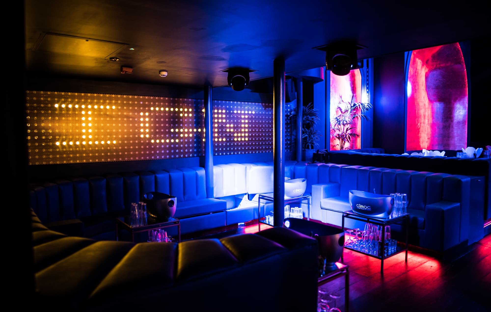 Main Club, The London Reign photo #3