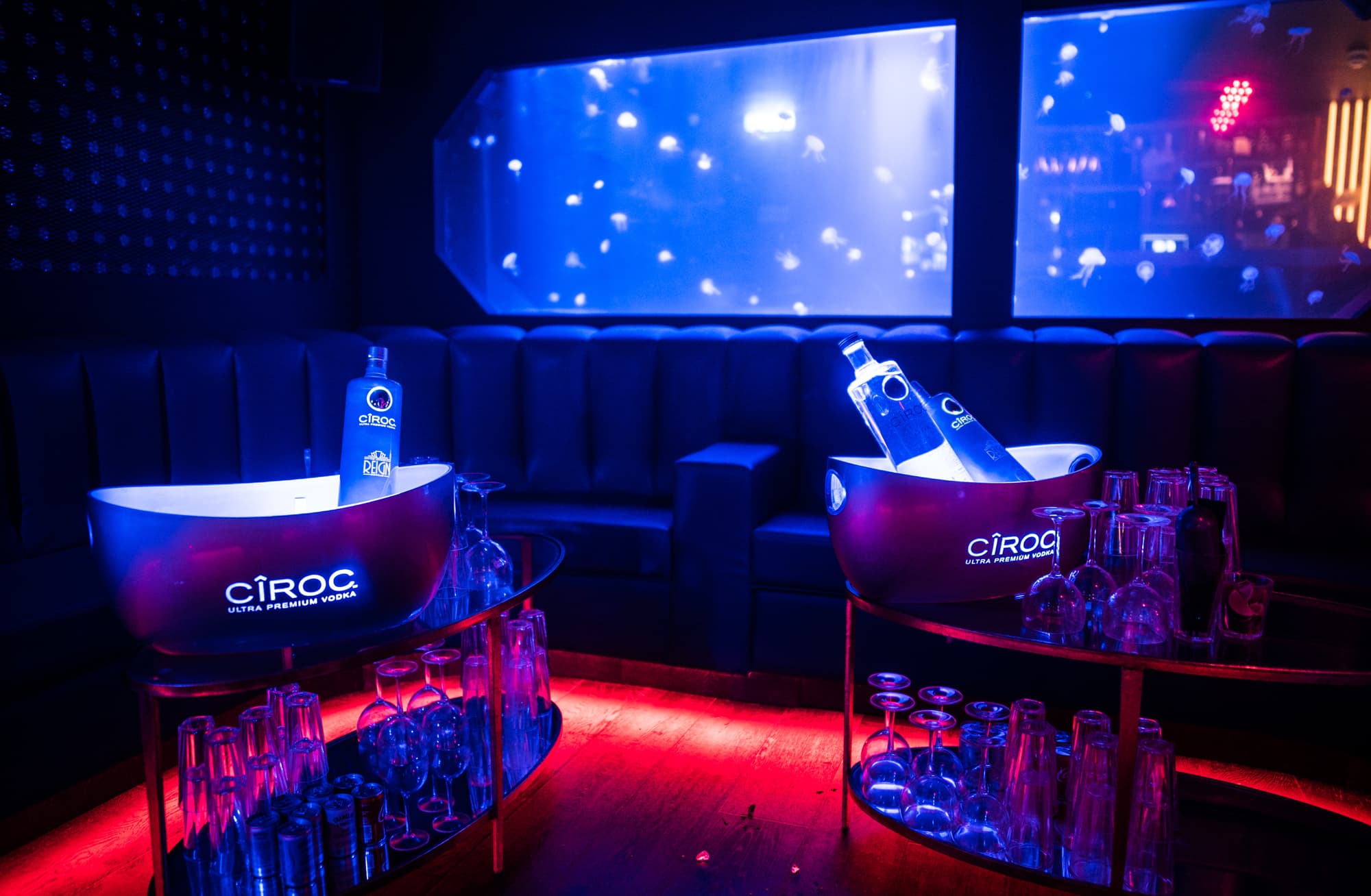 Main Club, The London Reign photo #2