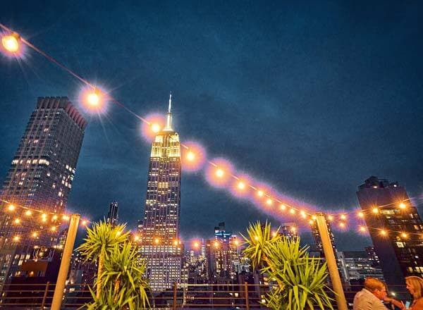 Treetop Outdoor Terrace, Daintree photo #13