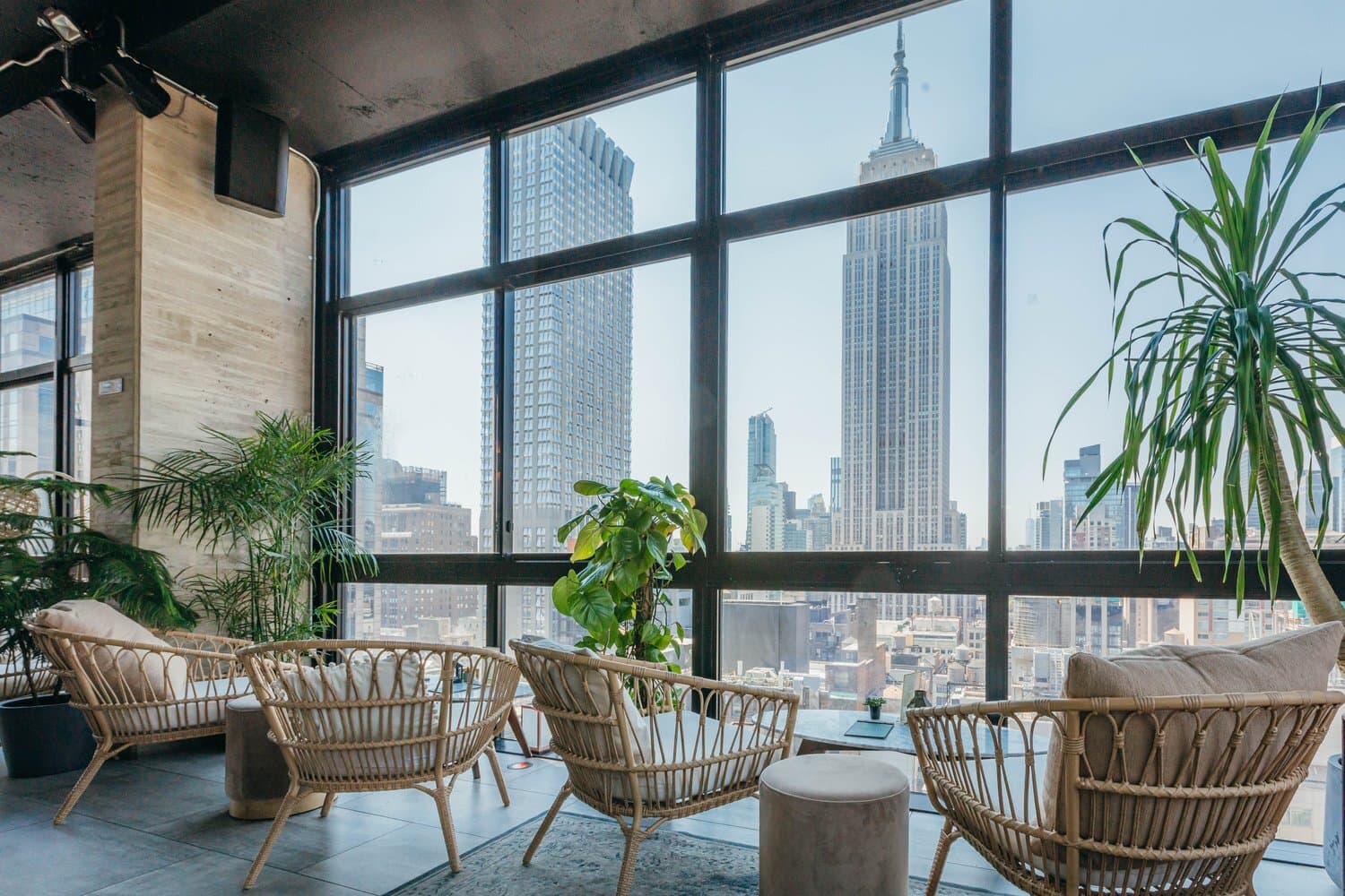 Treetop Outdoor Terrace, Daintree photo #2