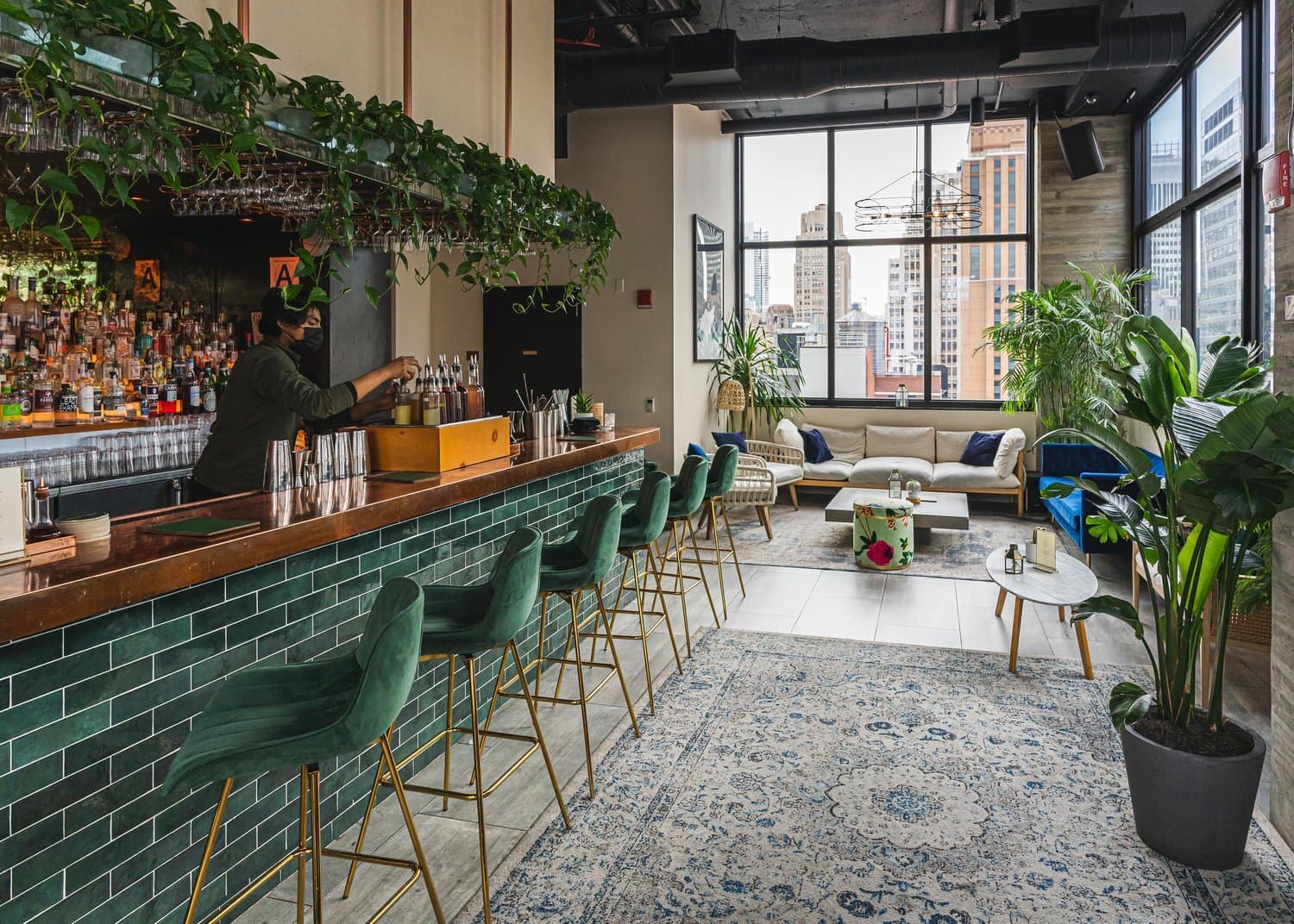 Treetop Outdoor Terrace, Daintree photo #3