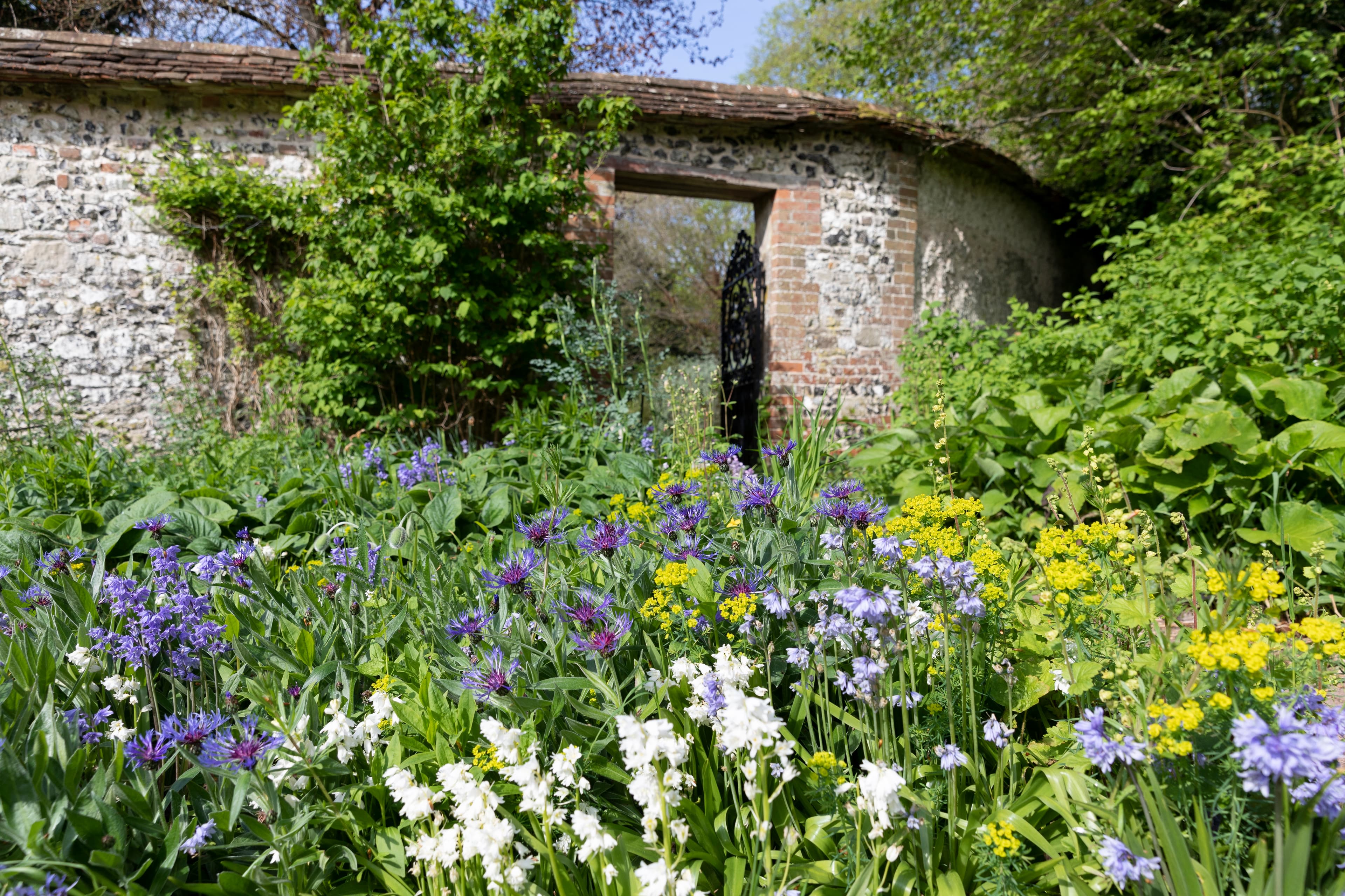 Exclusive Hire, Henge Estate photo #35