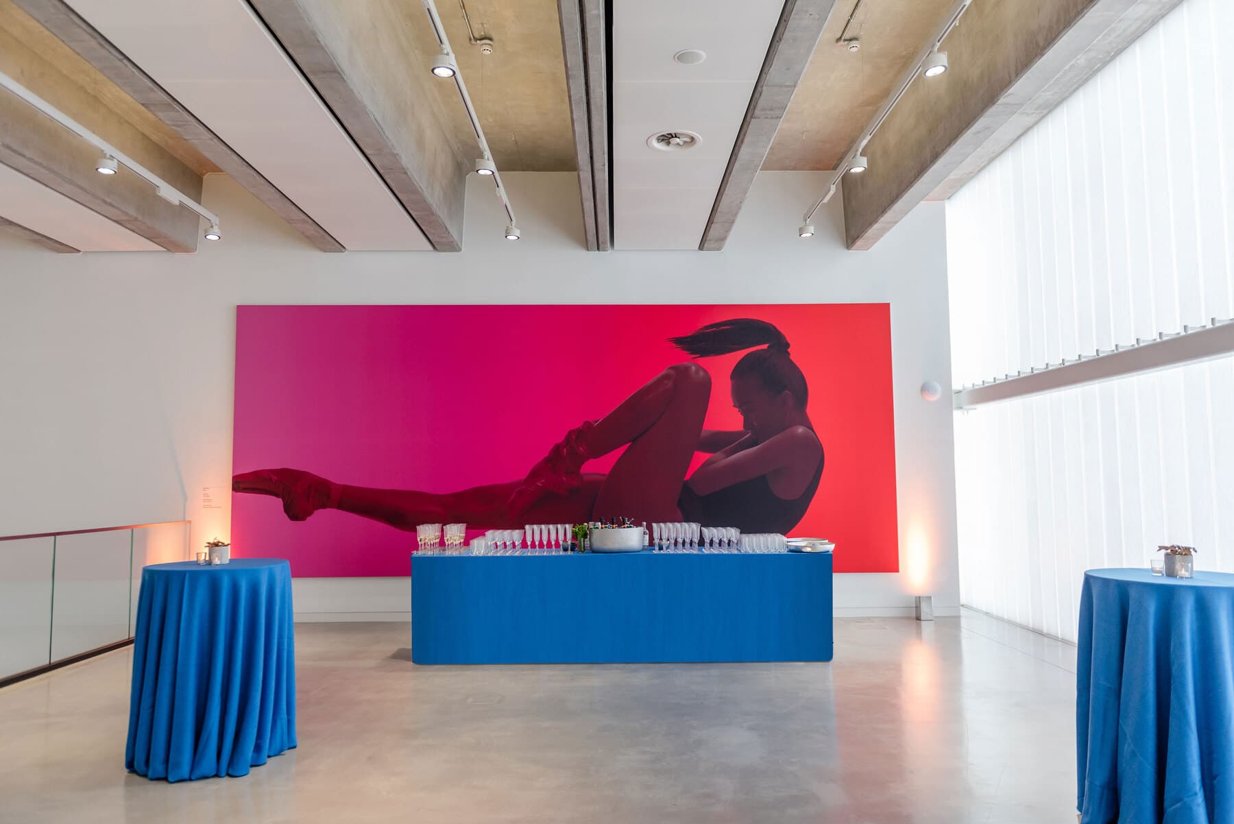 Wigoder Gallery, English National Ballet - Mulryan Centre For Dance photo #2