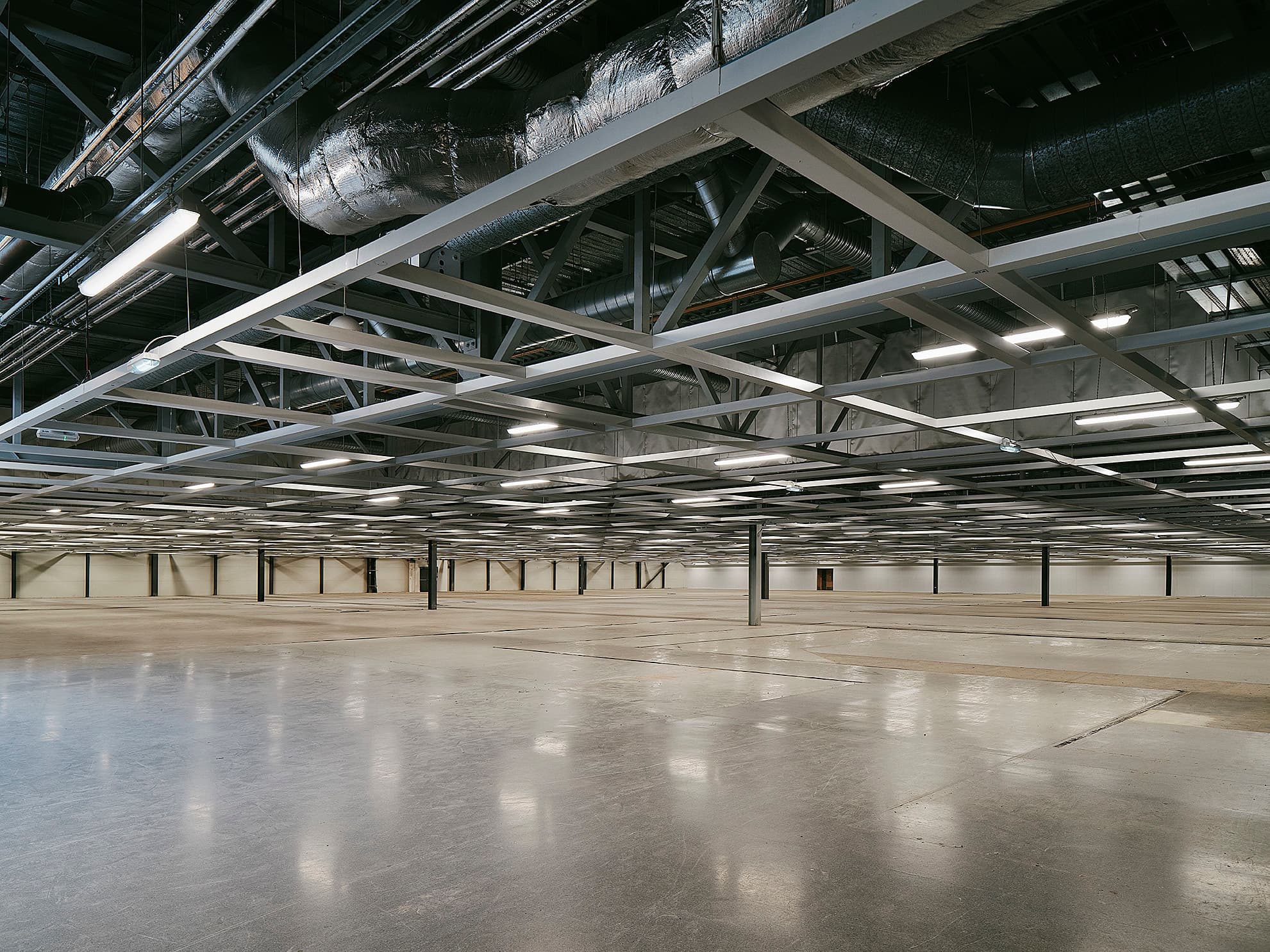 Y ROOM, DRUMSHEDS photo #2