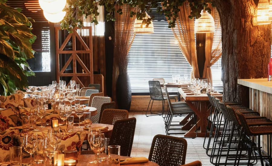 Photo of Ketchy Shuby