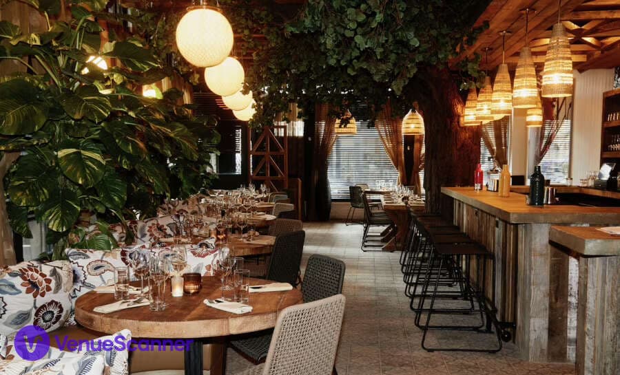 Ketchy Shuby photo #3