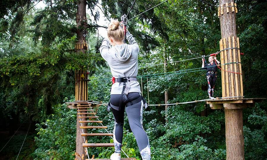 Treetop Challenge, Go Ape Wyre photo #1
