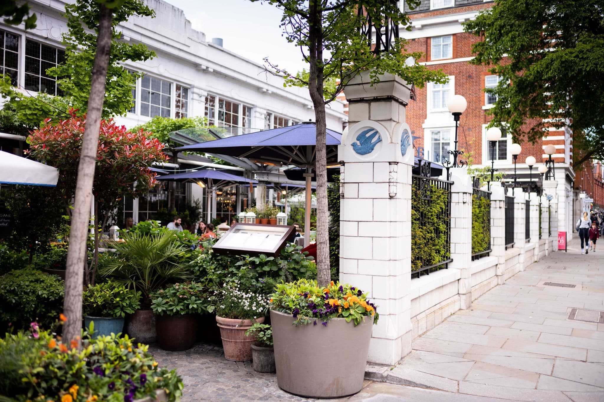 The Courtyard, Bluebird Chelsea photo #29