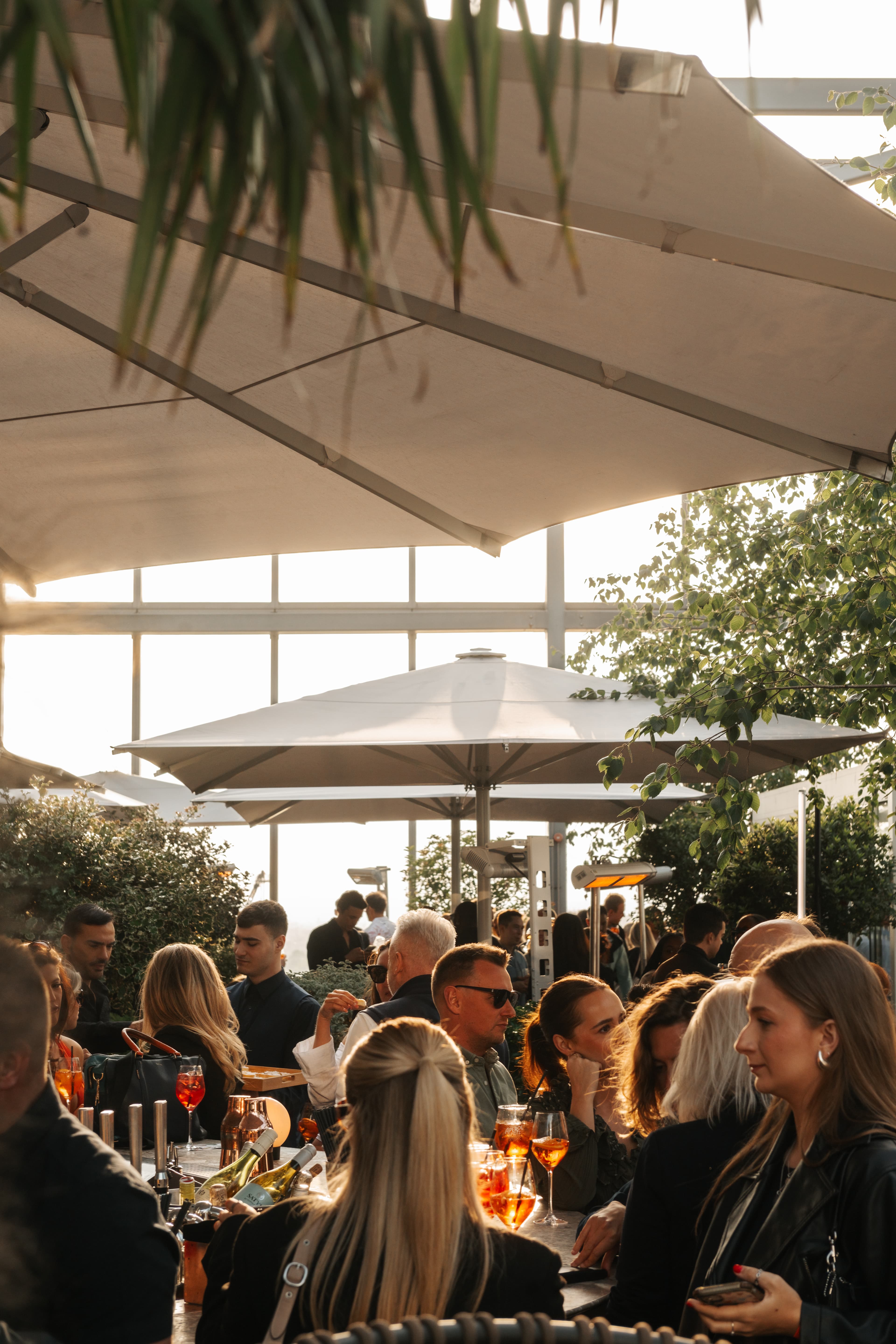 Pergola, 20 Stories photo #18