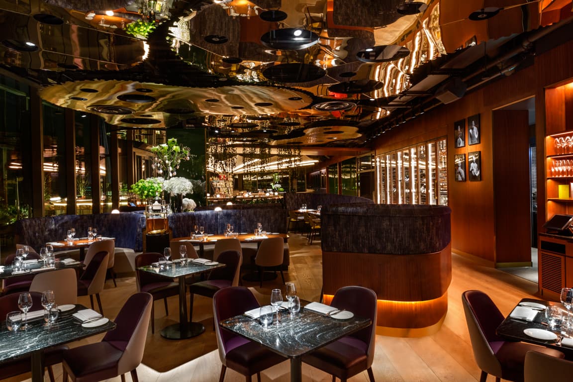 Restaurant Groups, 20 Stories photo #3