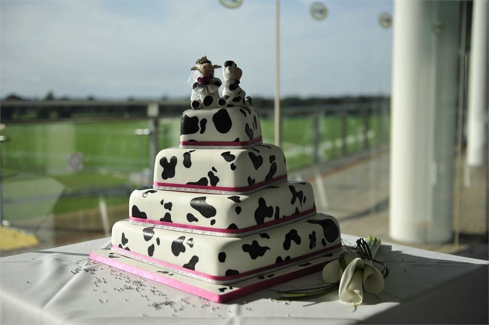 Exclusive Hire, York Racecourse photo #2