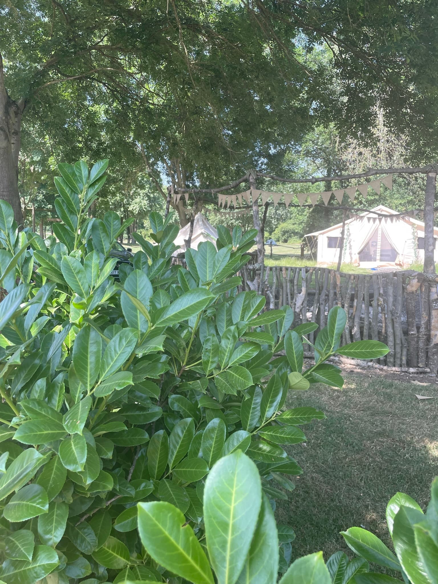 Exclusive Hire, Bell Tent Villages photo #3