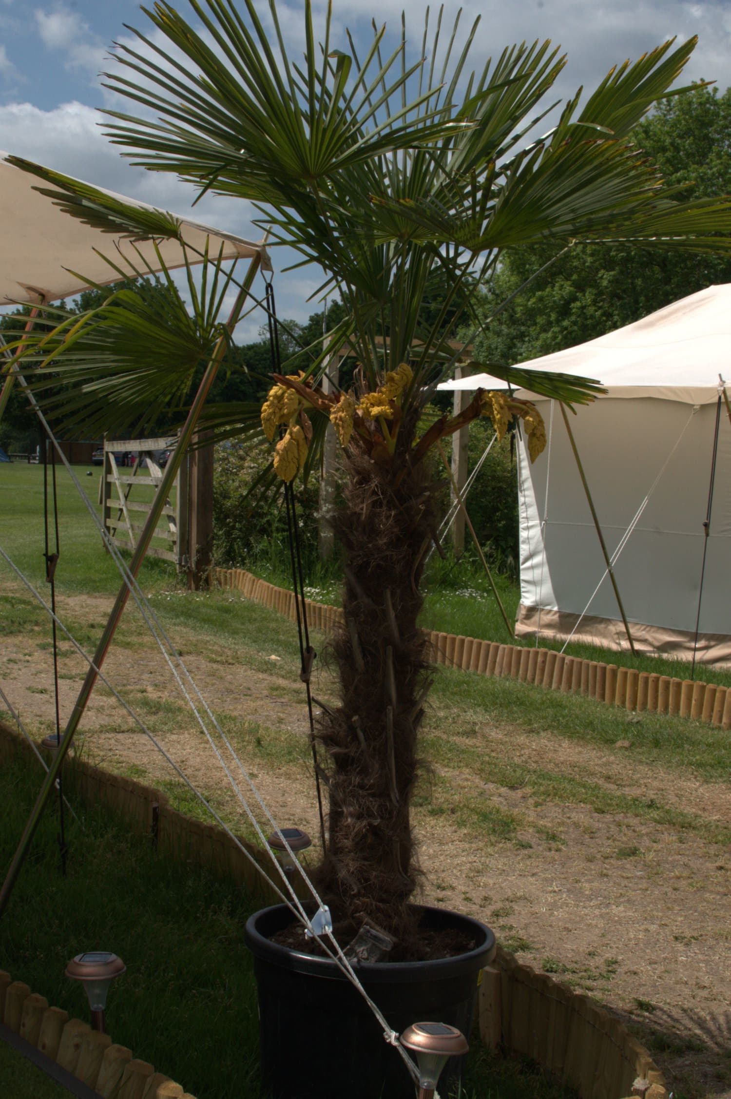 Exclusive Hire, Bell Tent Villages photo #23