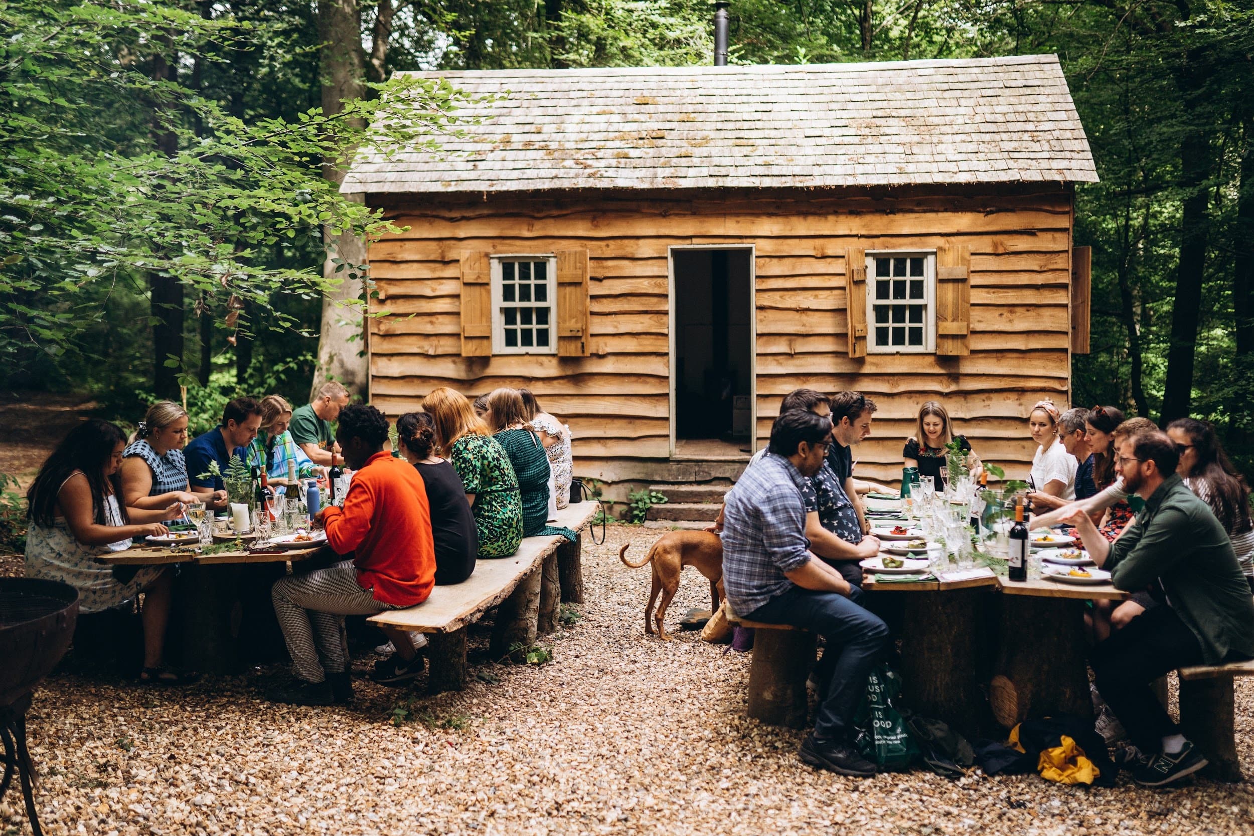 Private Hire, The Secret Woodland photo #1