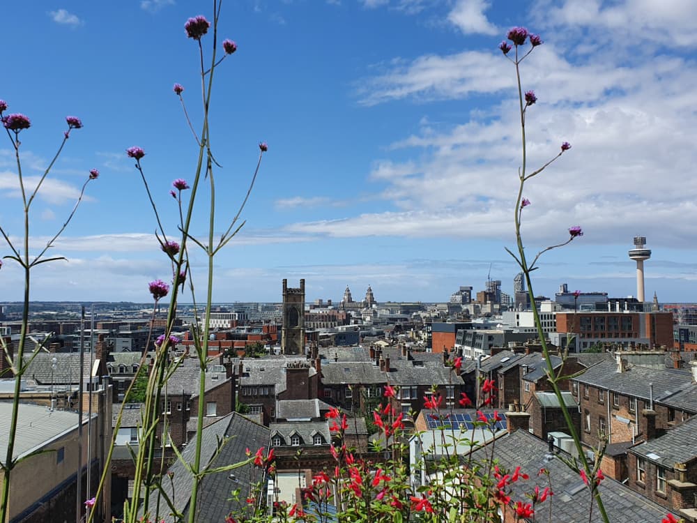 The Residents' Lounge, Hope Street Hotel photo #11