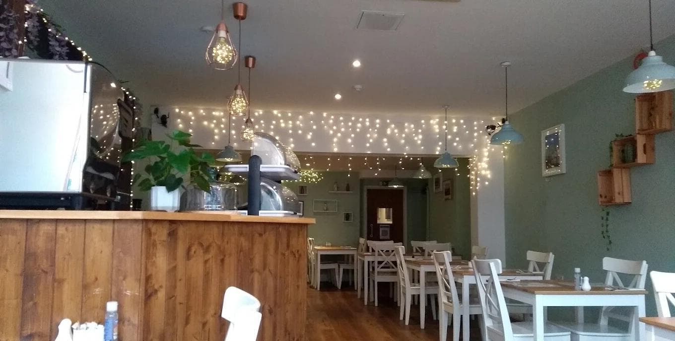 Entire Venue, Luna's Vegan Corner photo #1