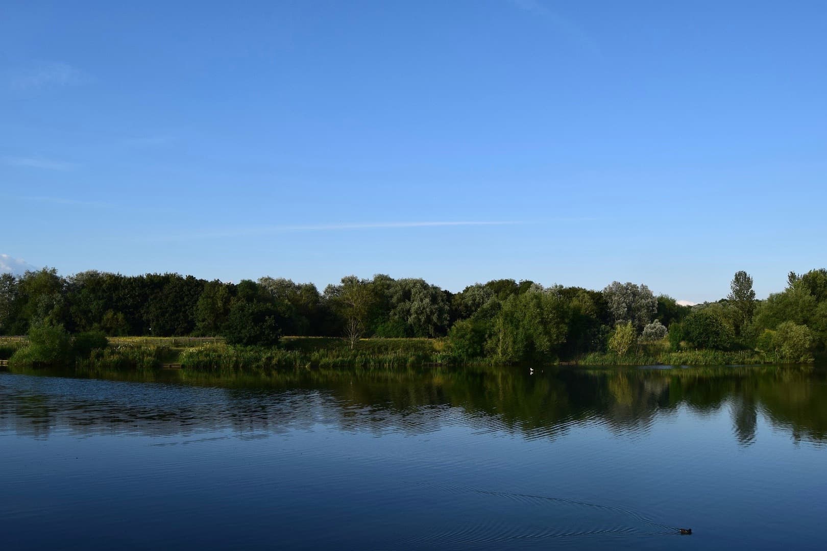 The most outstanding milton-keynes photo