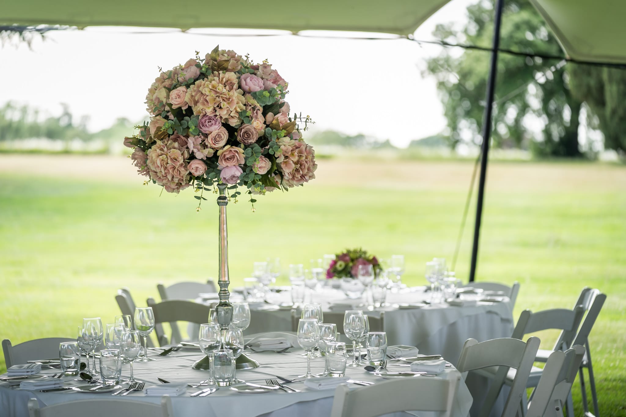 Photo of Braxted Park Estate, The Grounds And Outdoor Festival