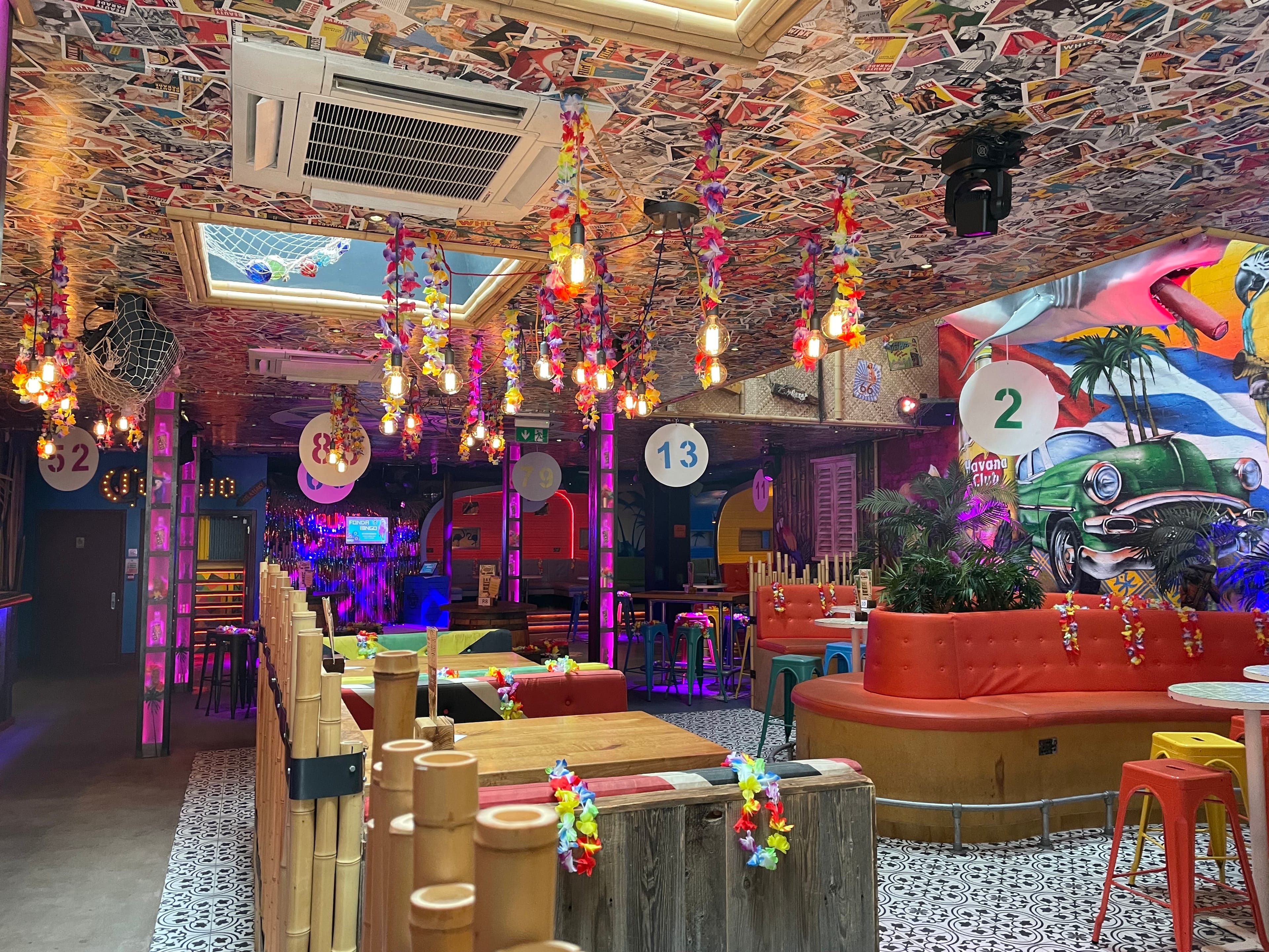 Photo of Rumba, Exclusive Hire