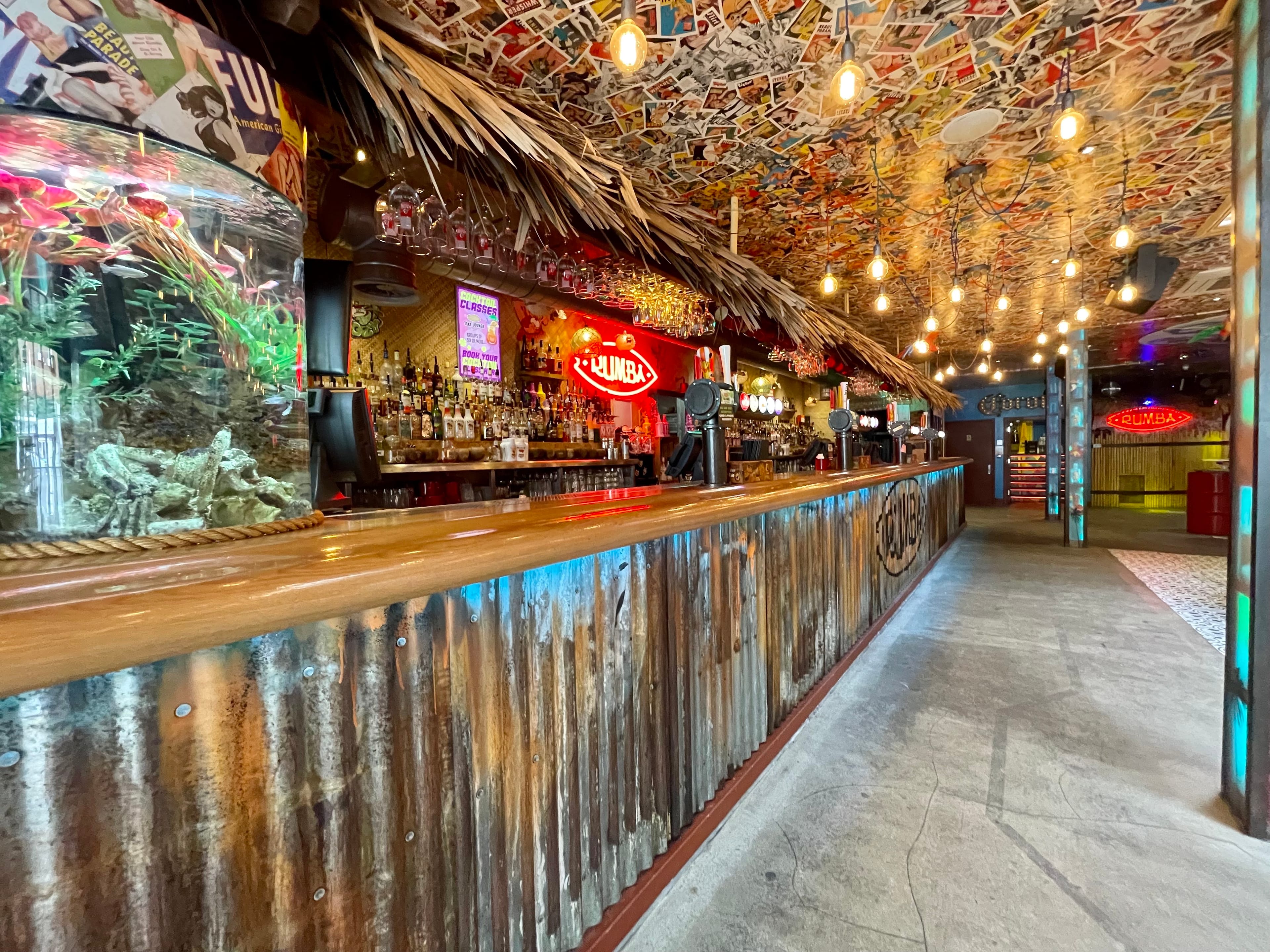 Photo of Rumba, Exclusive Hire