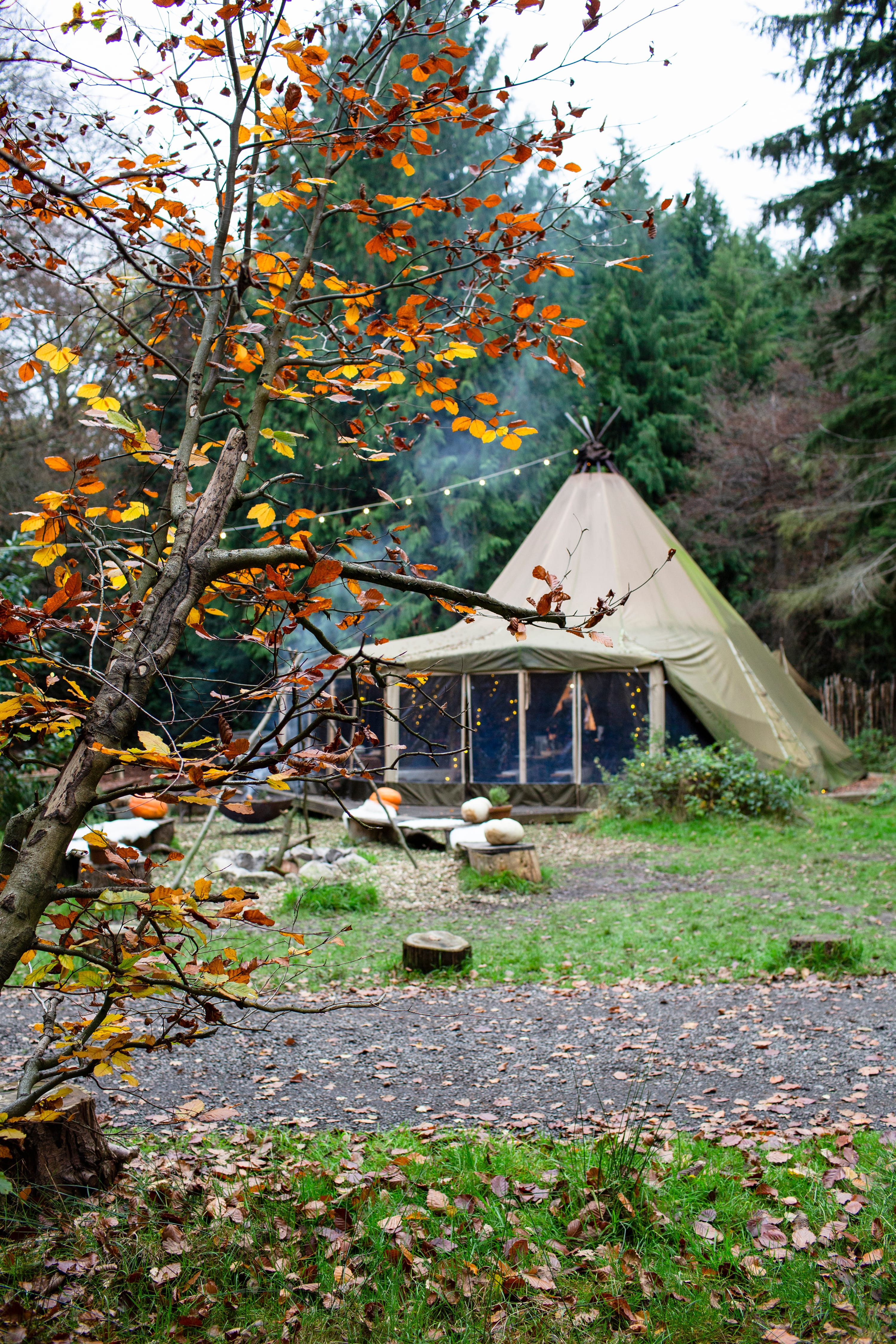 Photo of Nomadic Dinners, Exclusive Hire