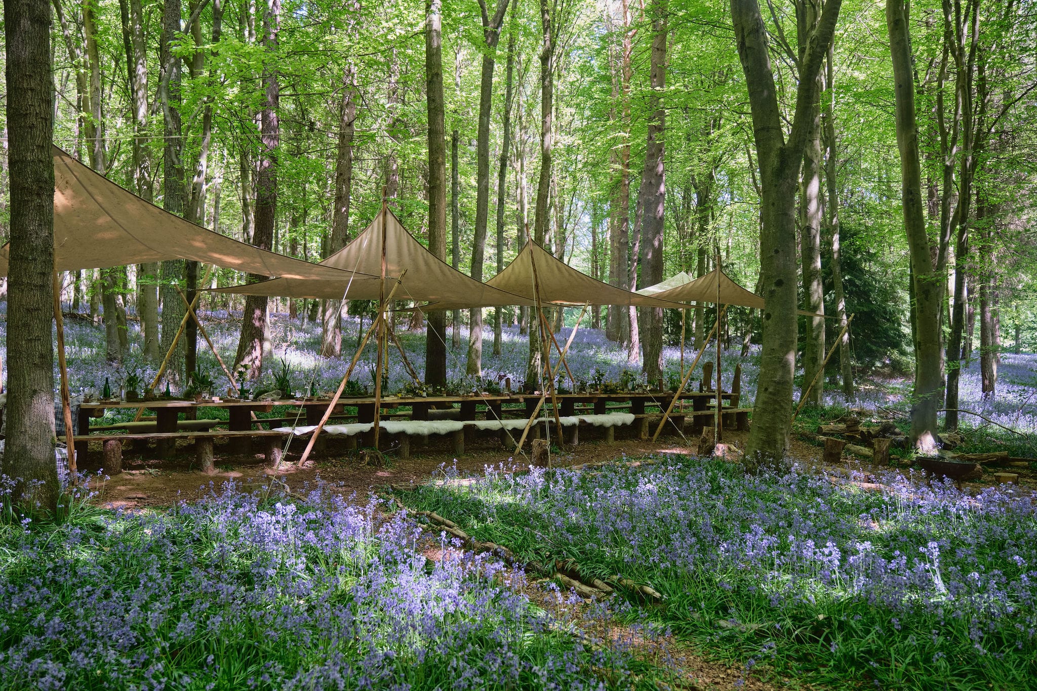 Photo of Nomadic Dinners, Exclusive Hire