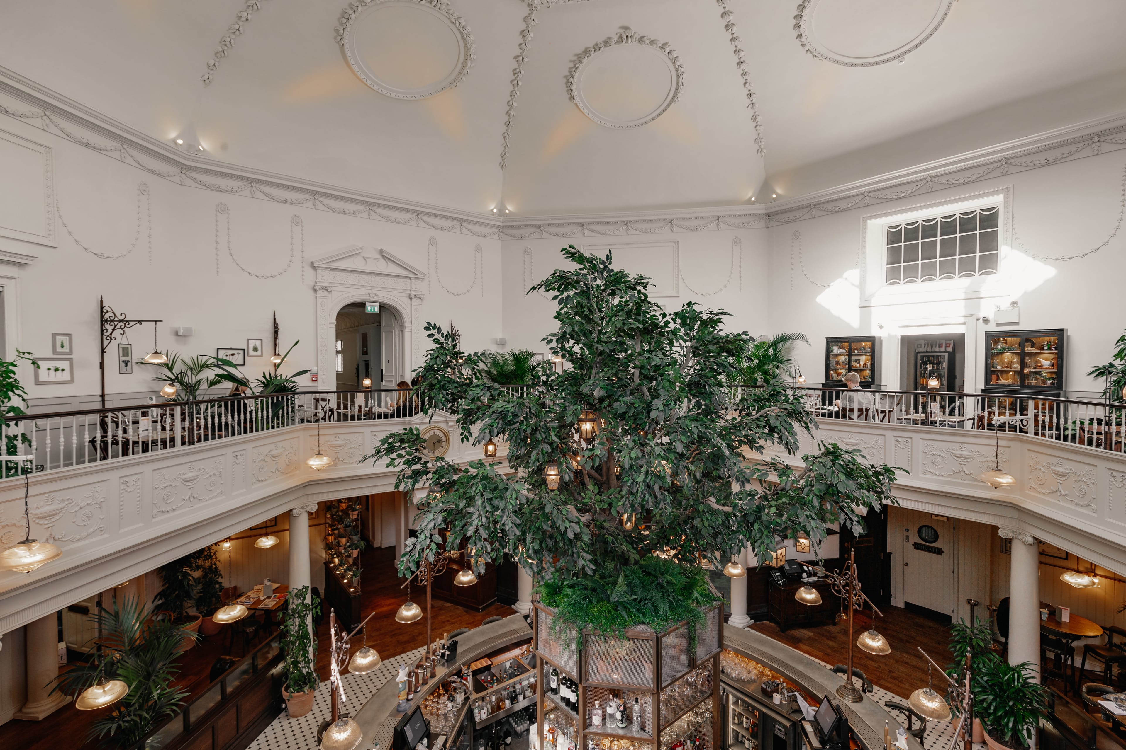 Photo of The Botanist Bath, Whole Venue