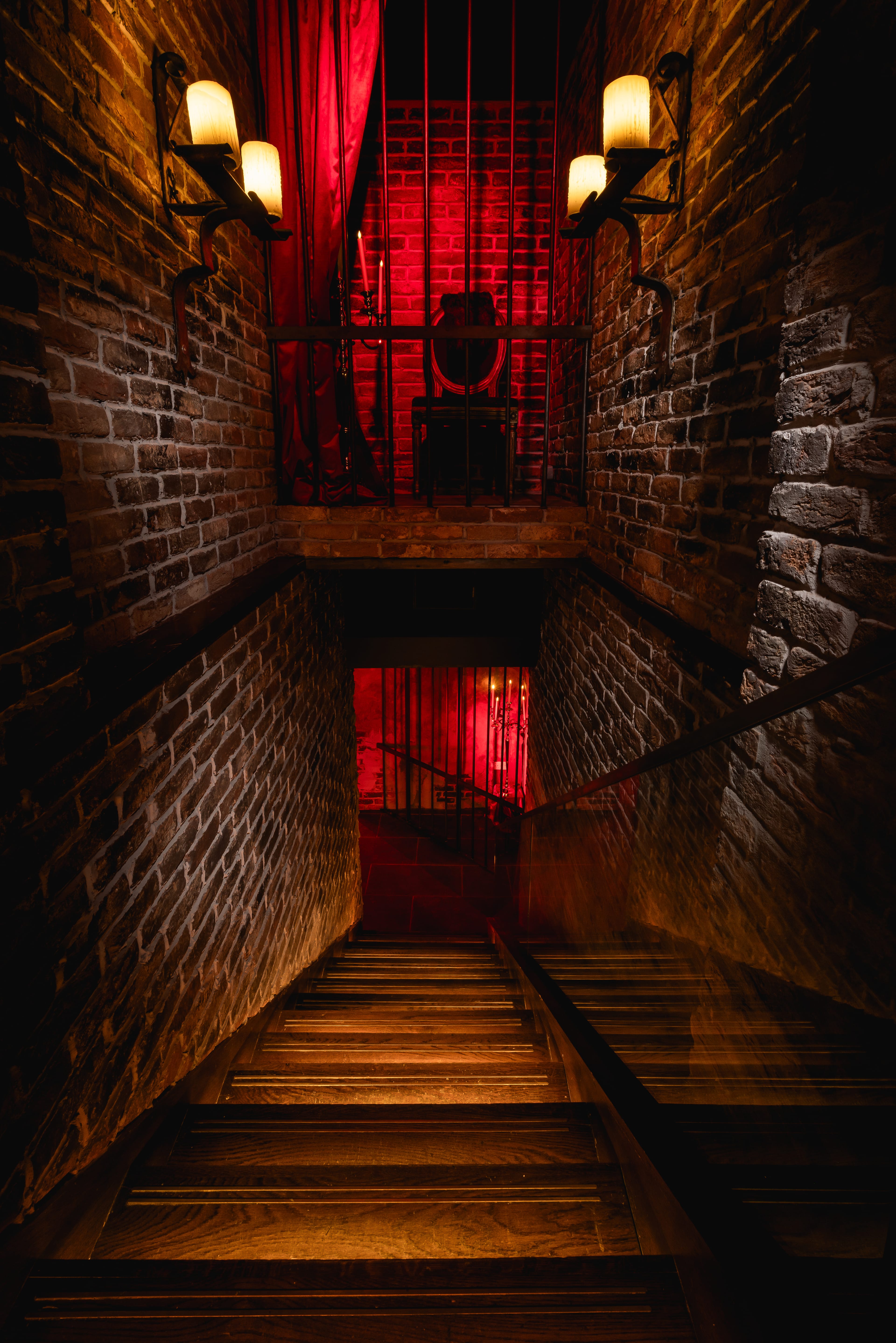 Photo of Dear Darling, The Basement