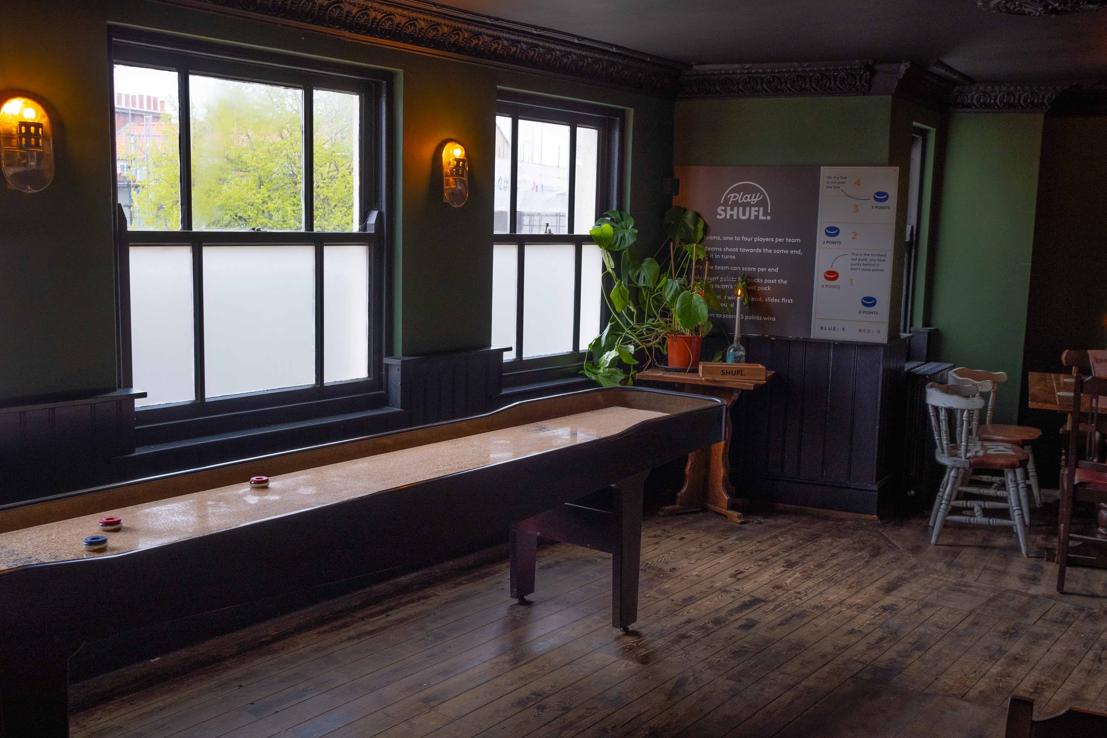 Shuffleboard/Half Pub